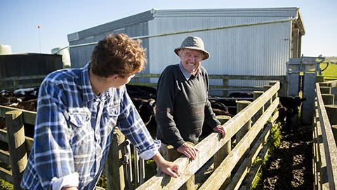 Grandfather and grandson talking in farm pen