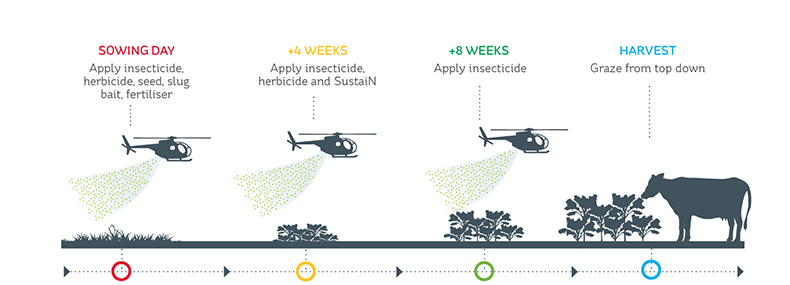 Sowing and post-emergence activities for a hill country crop sown by helicopter
