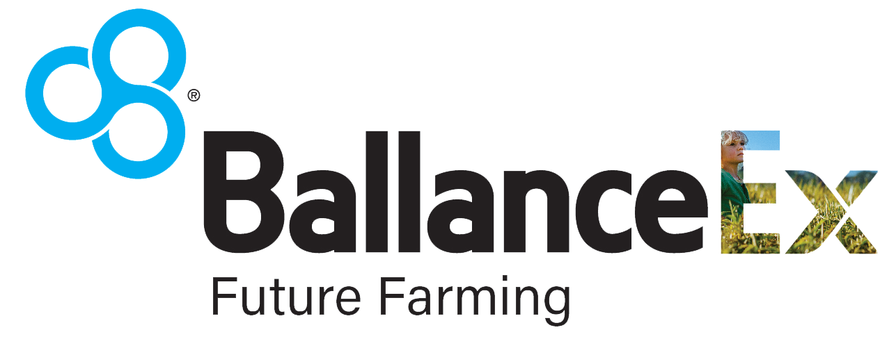 BallanceEx logo