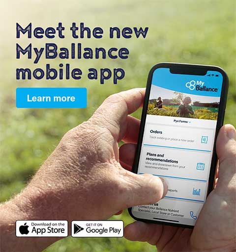 MyBallance benefits