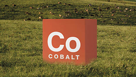 Nutrimax micronutrients - cobalt 