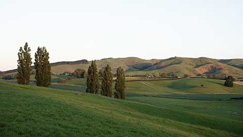 Ballance farm landscape 