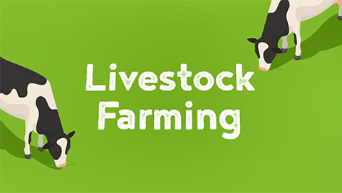 Livestock farming video