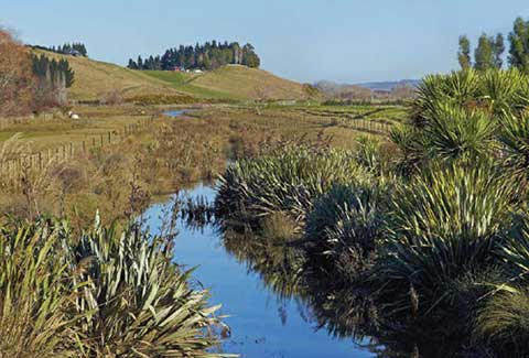Grow North Island
