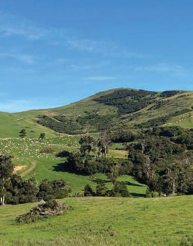 Progress Valley Farm