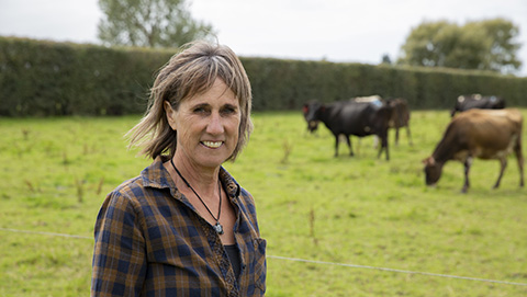 Fernside dairy farmer Julie Bradshaw is passionate about the ability of genetics to create the most efficient herd of cows.