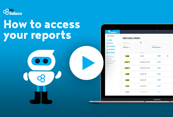 How to access your reports