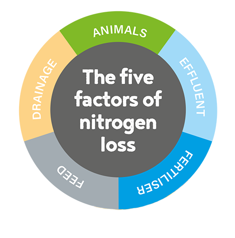 The five factors of nitrogen loss
