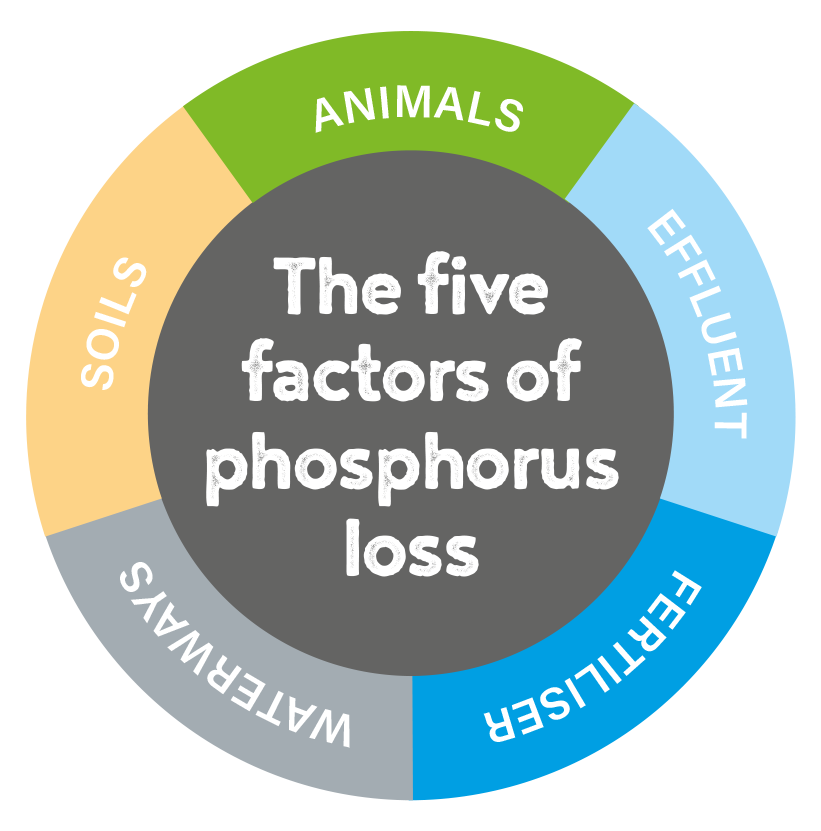 The five factors of phosphorus loss