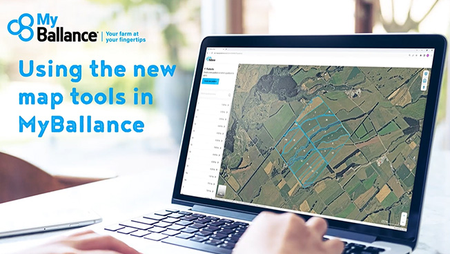 Ballance Setup Mapping | MyBallance | Ballance