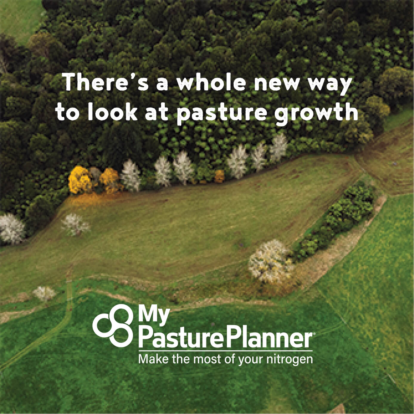 There's a whole new way to look at pasture growth