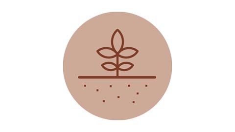 soil health icon
