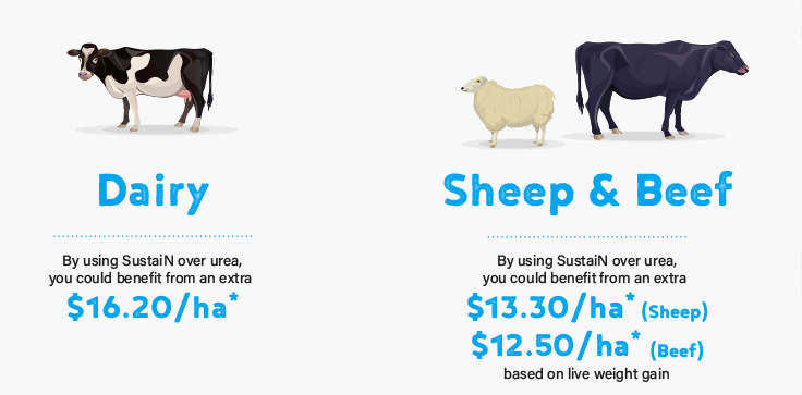 Dairy, Sheep and Beef